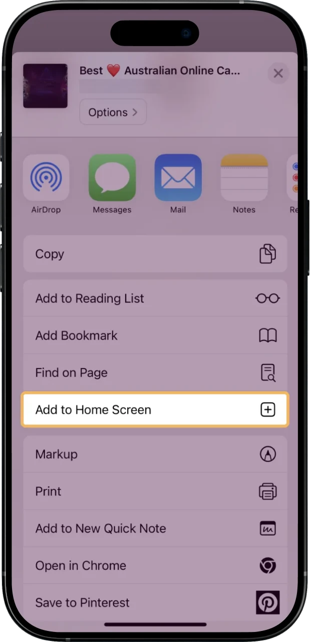Add Ricky Casino PWA by tapping Share and choosing Home Screen option.